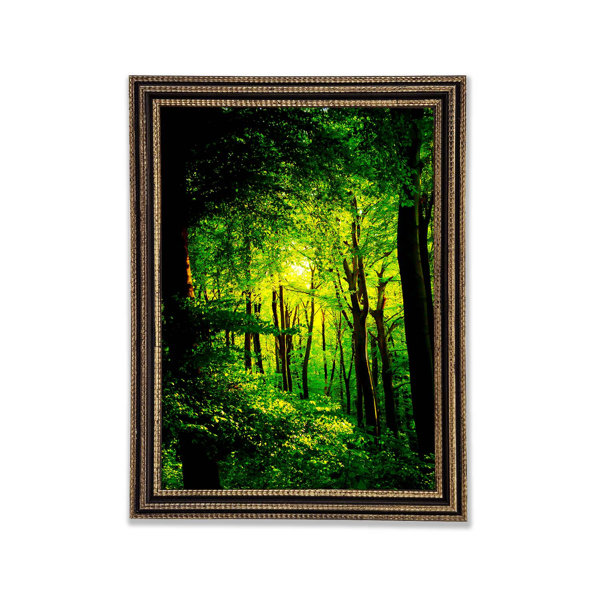 Rosalind Wheeler Emerald Forest Walk Gerahmter Druck Wayfair De